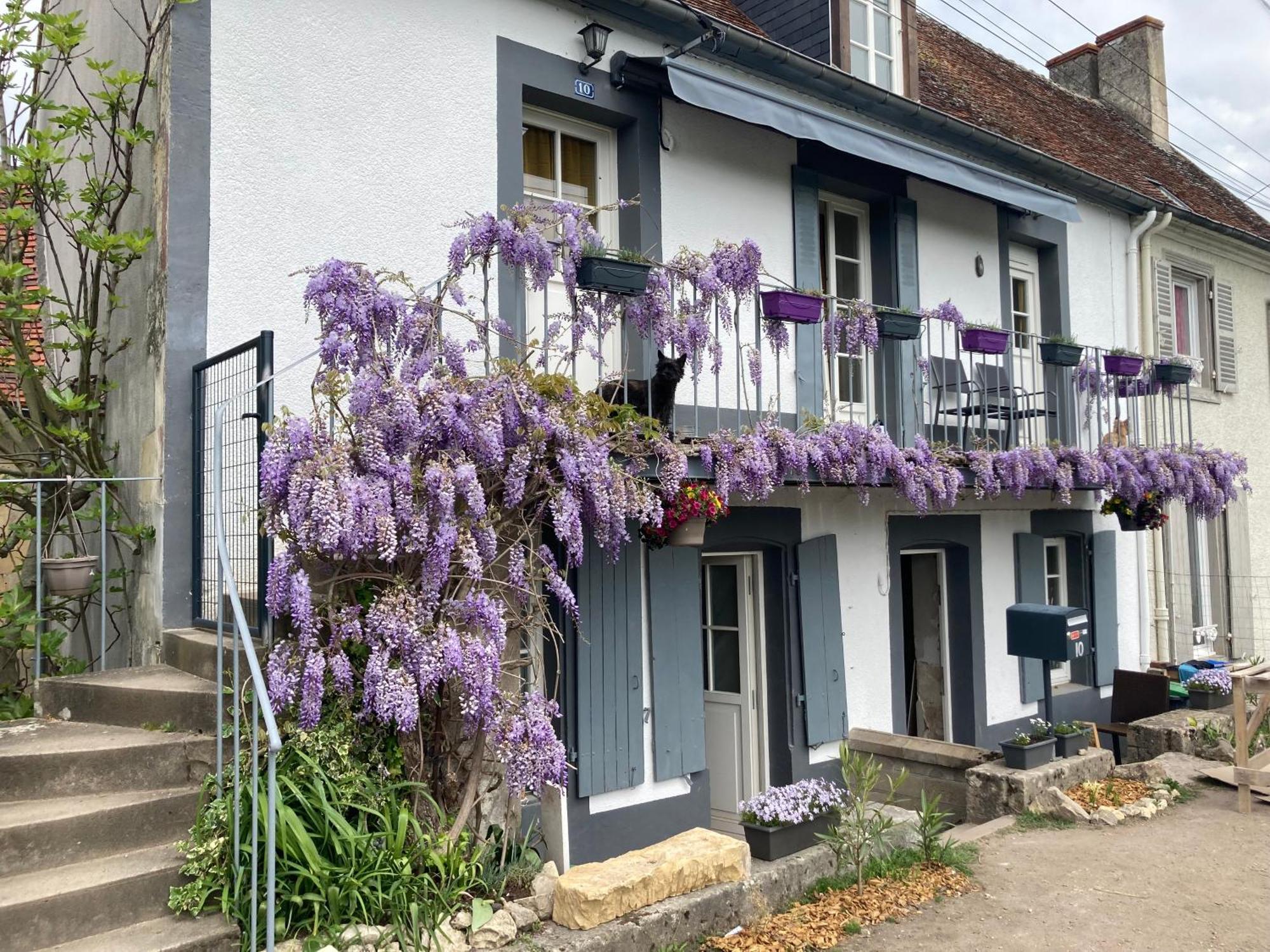 Le Lodge De Serenite Cuffy Esterno foto